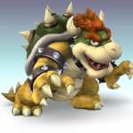 BowserKing