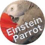 VidliiEinsteinParrot