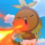 torchic9