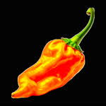 habanero