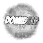 DomiDsLP