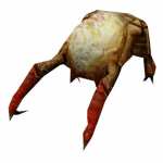 Jaytheheadcrab