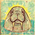 wackywalrus