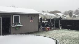 It's snowing for the first time in a while in my area (Recorded 12/9/2021 2:05PM MT)