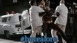 bucealore