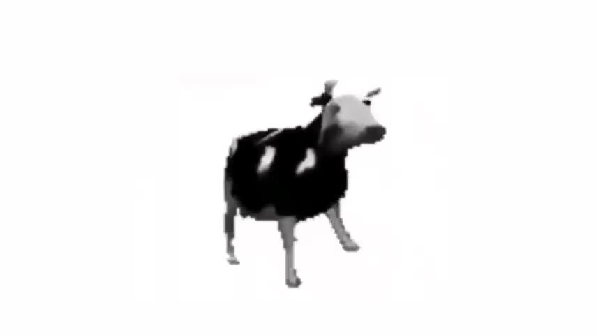 Polish Cow