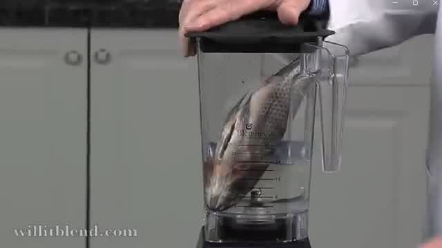 Will It Blend? - Tilapia-O-Matic