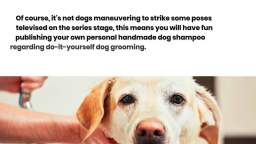 Do-It-Yourself Dog Shampoo  Simple Home Recipes