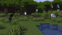 minecraft video