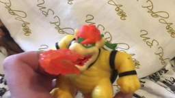 Bowser junior gets taken