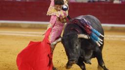 Tauromaquia: Crueldad animal camuflada.