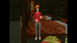 Harry Potter and the Philosopher's Stone Chapter Twelve - Sims 2.