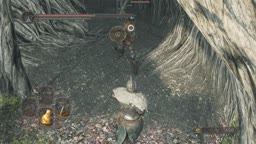 Dark Souls 2 - Forest of Fallen Giants Modded Enemy Placement