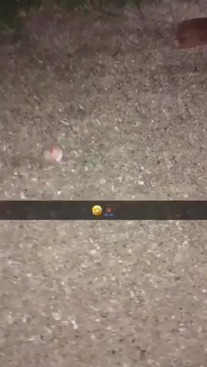 KID GETS BLOWN UP BY FIREWORK