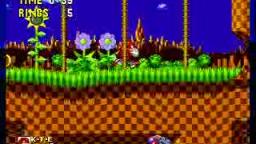 Knuckles in Sonic 1 Gravity Glitch