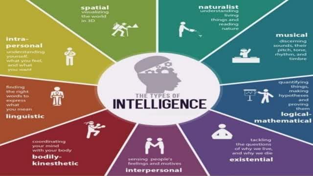 Intelligence