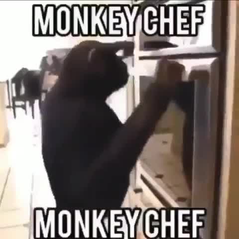 monkey chef