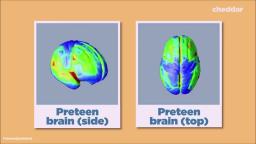 This crucial part of a teen's brain grows through adolescence and does not fully mature until 25