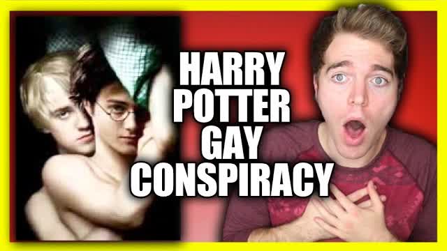 HARRY POTTER GAY CONSPIRACY