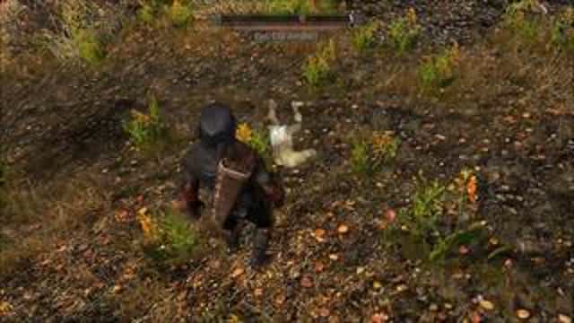 Skyrim Corpse Glitch