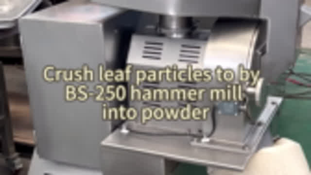 Crush leaf particles to by BS-250 hammer mill into powder