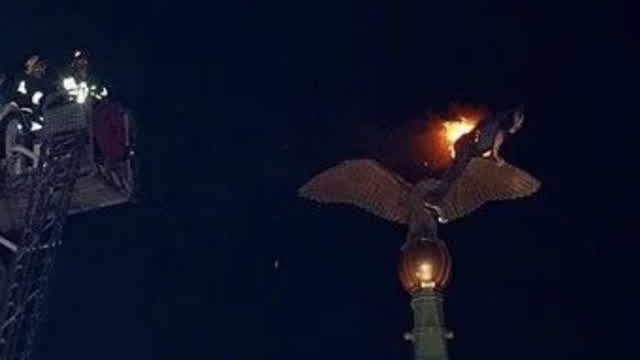 Man in the fire jumps from the Liberty Bridge