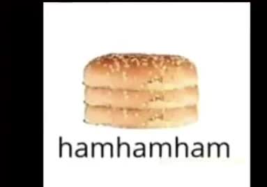 hamburger