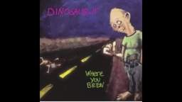 Dinosaur Jr. - Goin' Home