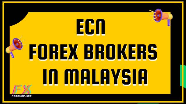 ECN Forex Brokers In Malaysia