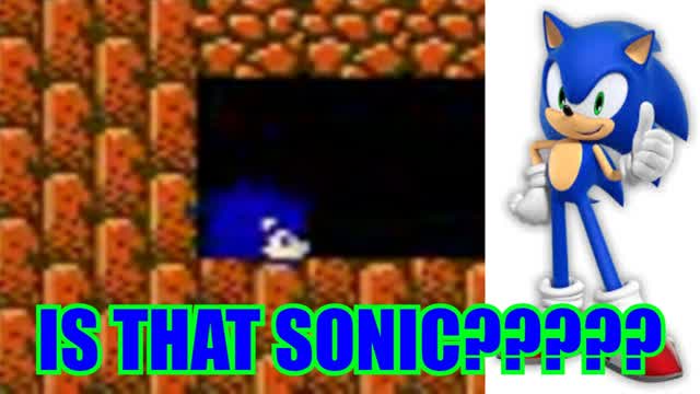 is that sonic???? - super mario bros 2