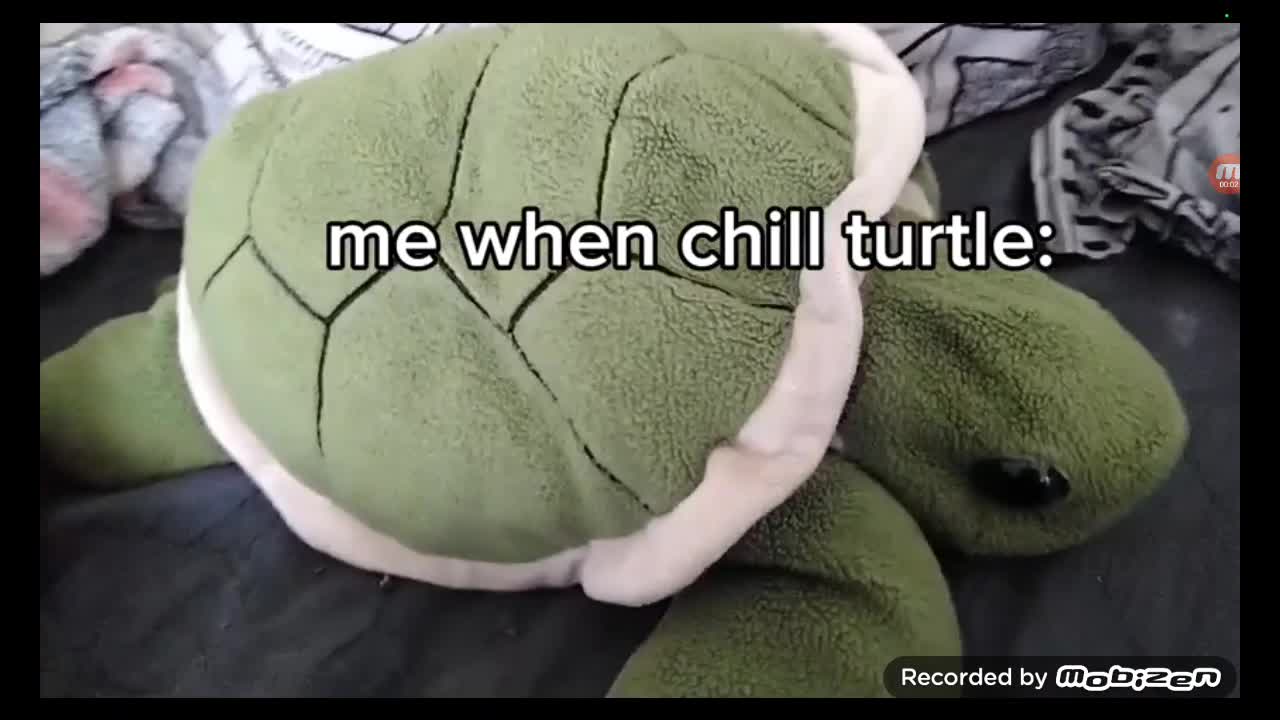 Chill turtle meme (Reupload)