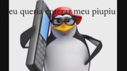 PINGUIM DE MADAGASCAR