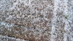 February 11th 2018 Texas Sleet