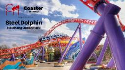 Steel Dolphin Haichang Ocean Park China S5 E12