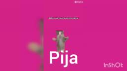 PIJA