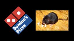 Ratas dentro de pizzeria Domino's en Israel