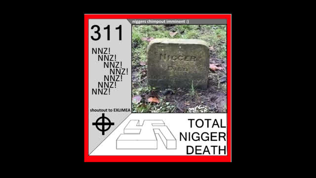 TOTAL NIGGER DEATH [FULL ALBUM]