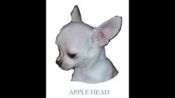 APPLE HEAD the movie