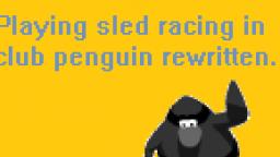 Playing sled racing in club penguin rewritten