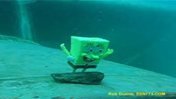 Sponge Bob Dies