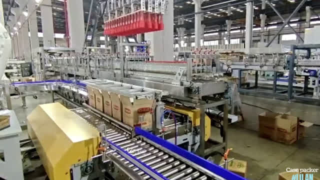 Robot case packing machine customized according to your demands #packing #foryou #machine #factory