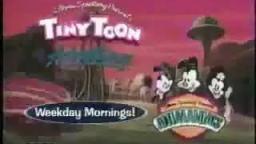 animaniacs-tinytoon.mp4