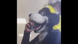 Furries Vaping Compilation