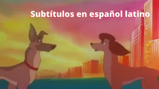 No te dejaré de amar