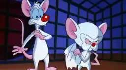 Pinky y Cerebro - Brinky (1997)