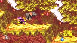 Donkey Kong Country 3: Dixie Kong's Double Trouble! Pt.7