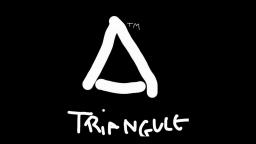 TRIANGULEWAVE COMPUTER INCORPORATED - Startup.STA