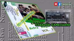 SELVA NEGRA CORAZON CAPRICHOSO 20 exitos grandes vol 2 Signo Sonomar