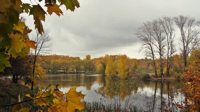 Autumn in Central Park.