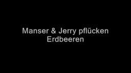 Manser und Jerry pflücken Erdbeeren